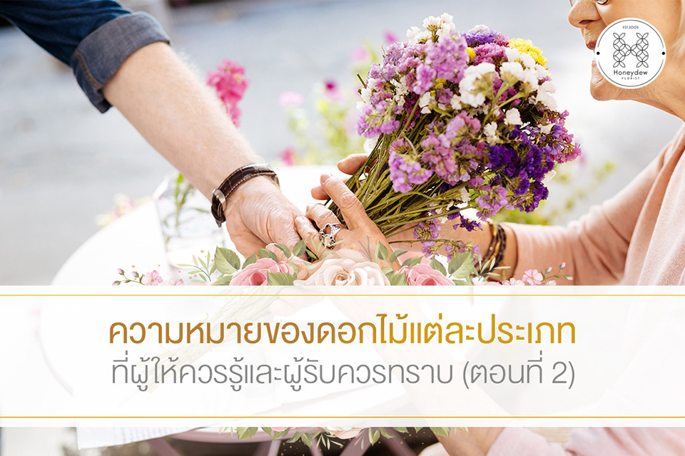 ความหมายของดอกไม้แต่ละประเภท ที่ผู้ให้ควรรู้และผู้รับควรทราบ (ตอนที่ 2)